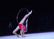 Bakıda bədii gimnastika üzrə Dünya Kuboku yarışlarının sonuncu günü. Azərbaycan, Bakı, 24 iyul 2016